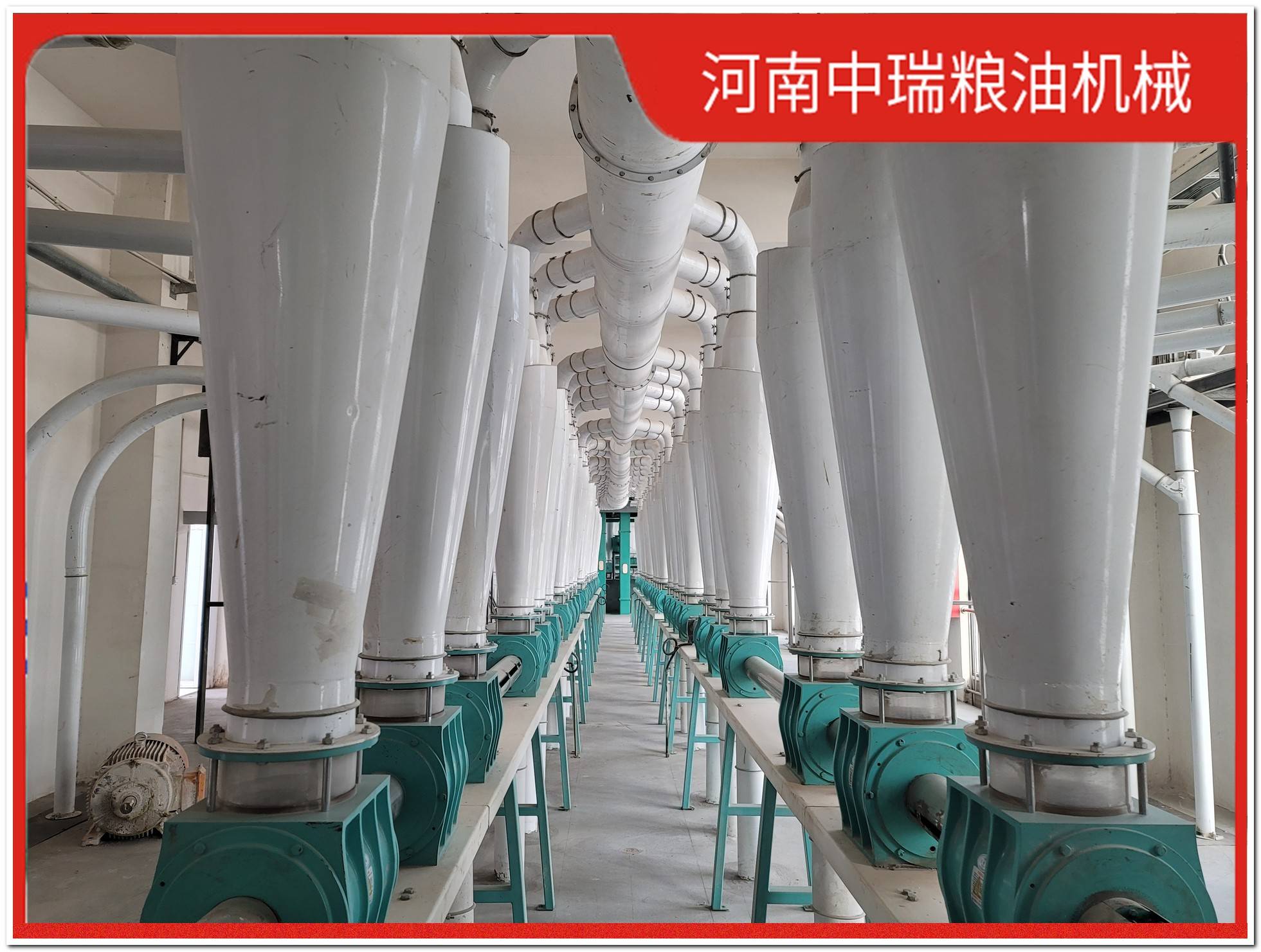 30噸全套稻谷加工機械性價比高廠家，推薦中瑞