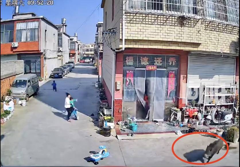 不是上海！不是上海！不是上海！最新：已被特警擊斃