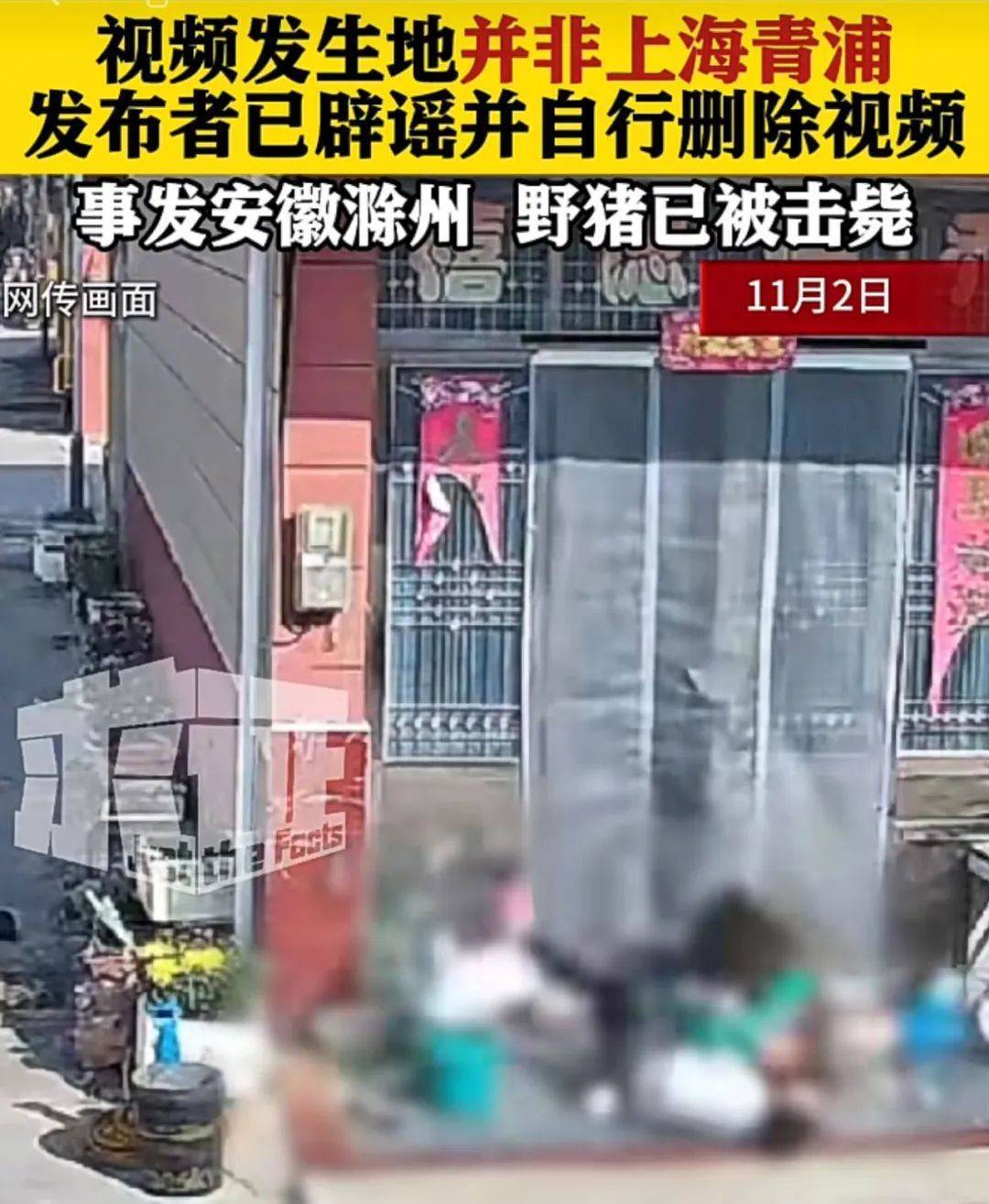 不是上海！不是上海！不是上海！最新：已被特警擊斃