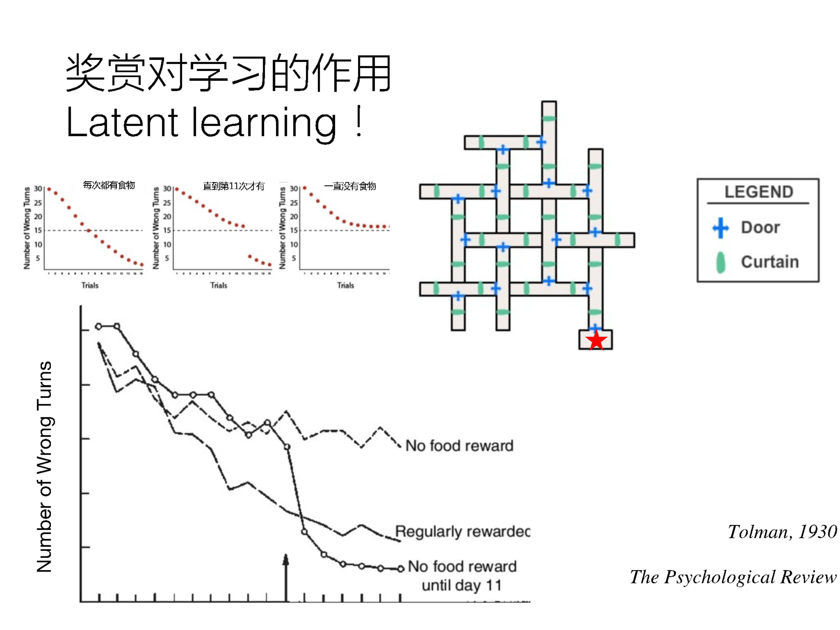 頻繁使用GPS喪失方向感？清華大學陳霓虹：影響或可逆，可通過學習訓練提升
