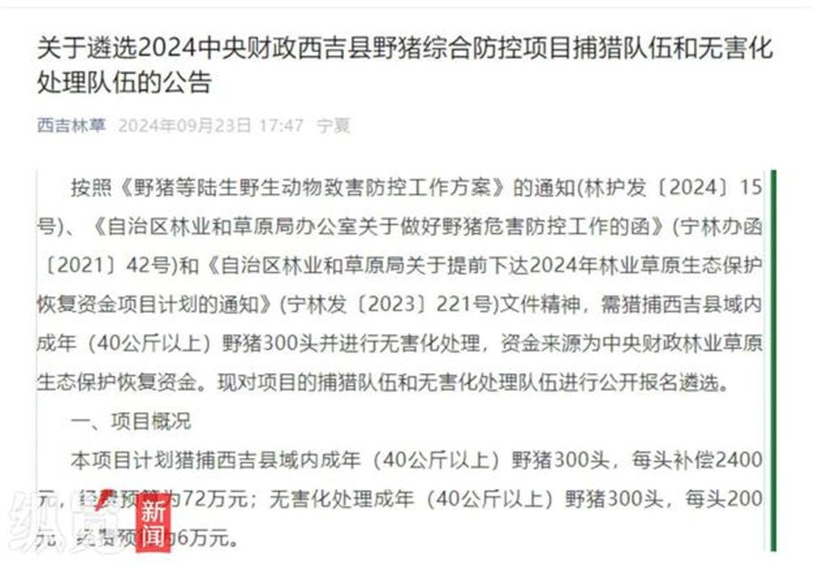 賞金獵人團已在南京捕獲133頭野豬，還差67頭才能拿到每頭二三千元補貼，他們真的很賺錢？