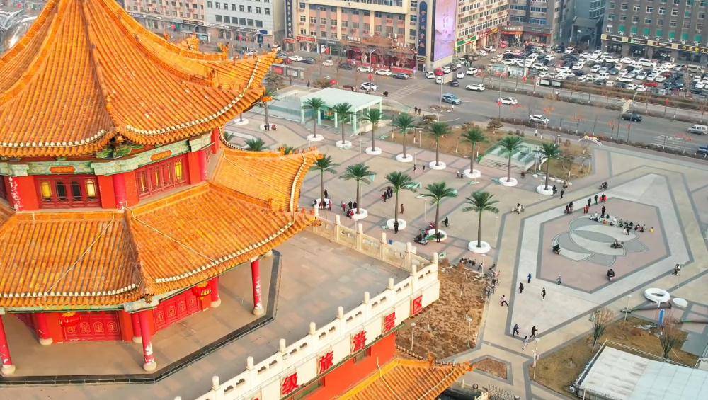 違規花千萬裝修縣政府大樓，仿真椰子樹成了“背鍋俠”