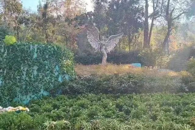 李玟武漢墓地雜草叢生？其姐姐發文回應