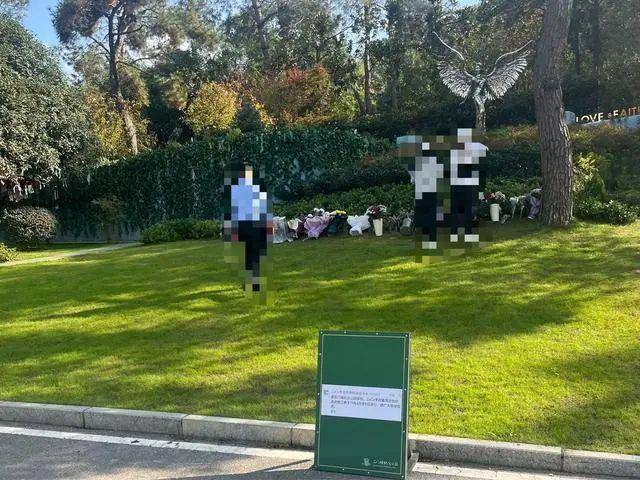 李玟武漢墓地雜草叢生？其姐姐發文回應