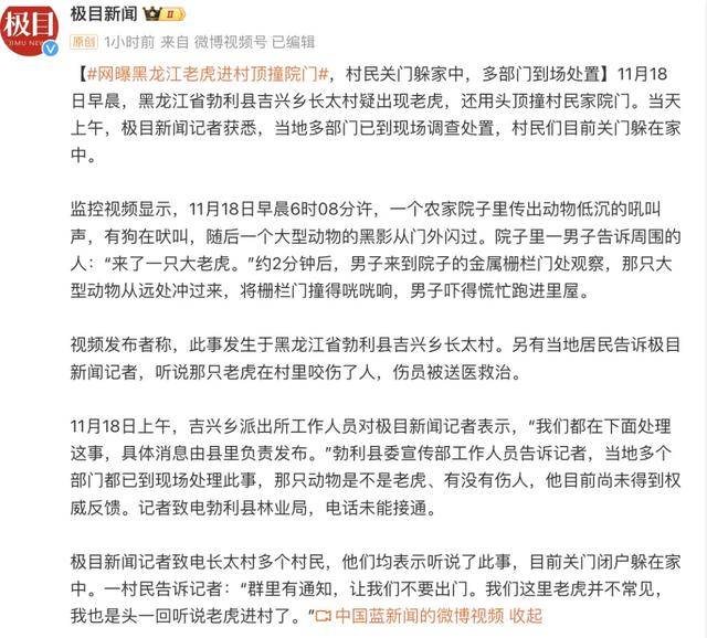 野生東北虎沖撞民宅，有村民被咬傷！當地緊急搜尋