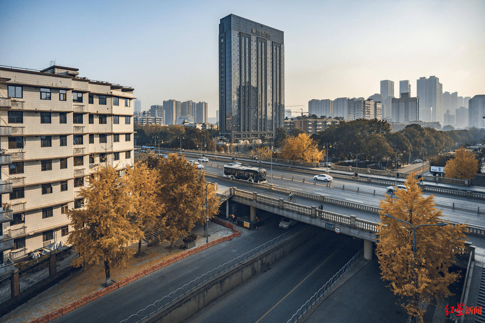 日均客流上漲近15%！成都坐公交的人為何多了→