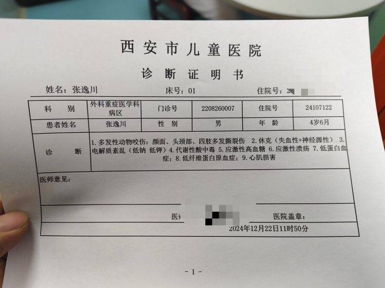 西安4歲男童遭兩惡犬襲擊重傷，警方啟用無人機搜尋現場