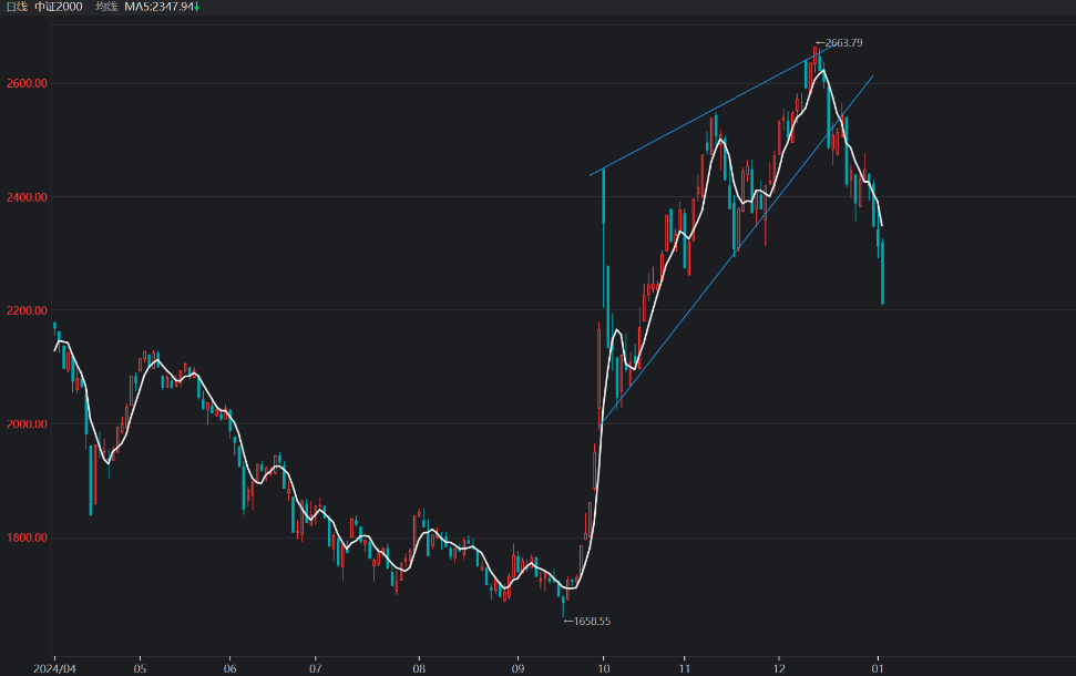 2025剛開年就巨虧5%？