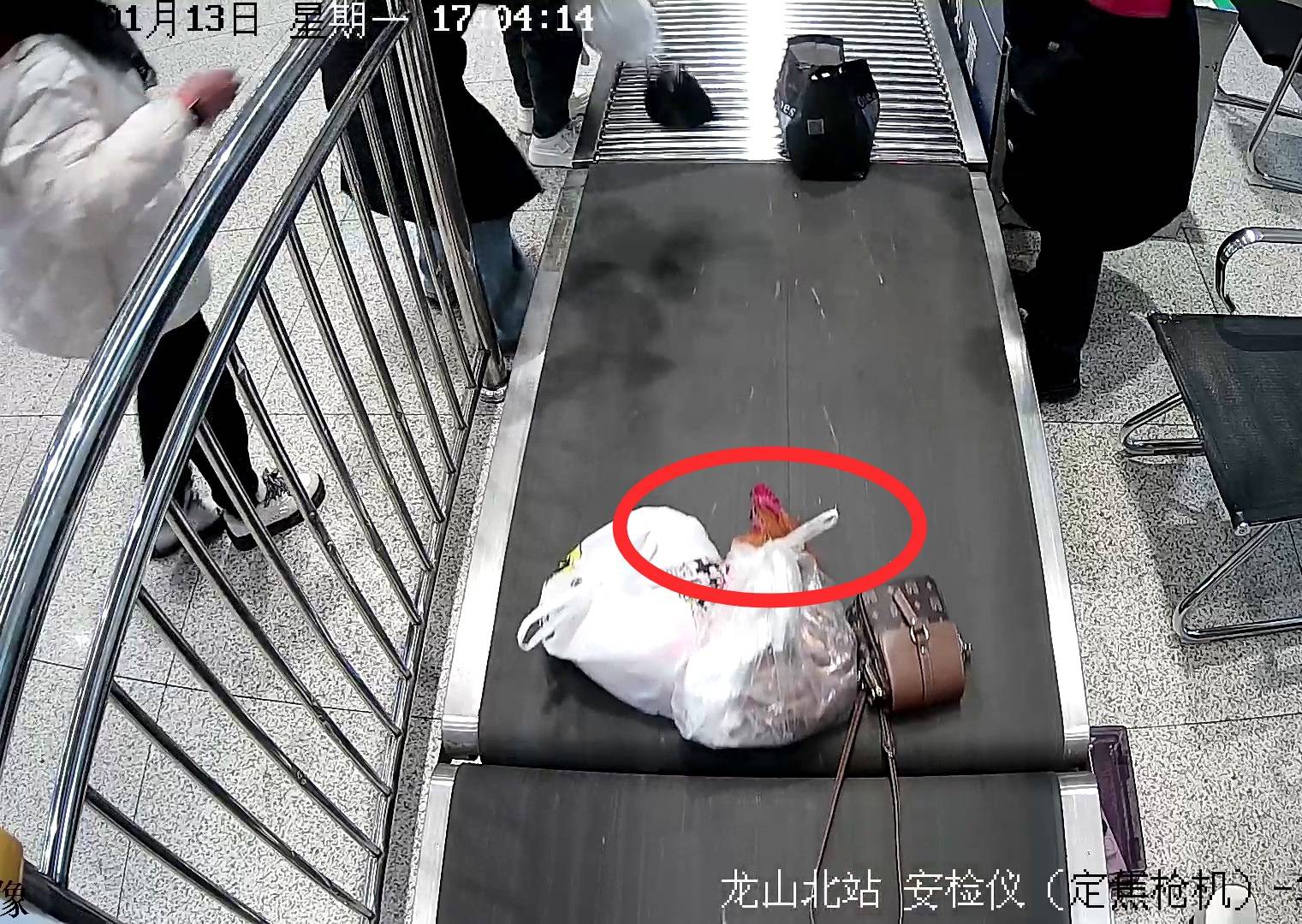 車站安檢機里傳出公雞鳴叫 攜帶者被安檢人員立即攔截