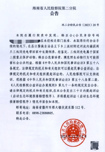 最高法典型案例：海南一男子捕獲兩只金錢龜回家飼養被判刑