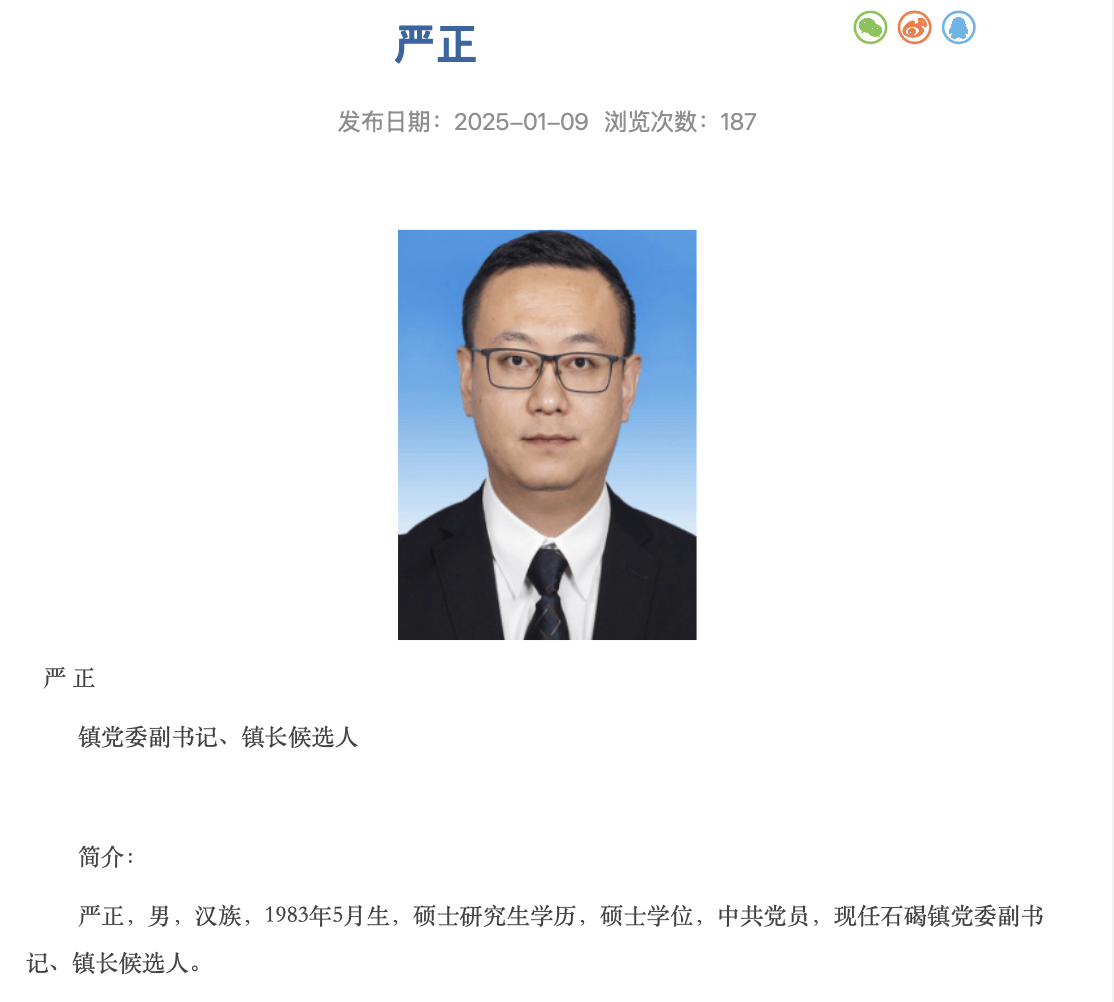 嚴正已任東莞市石碣鎮黨委副書記、鎮長候選人