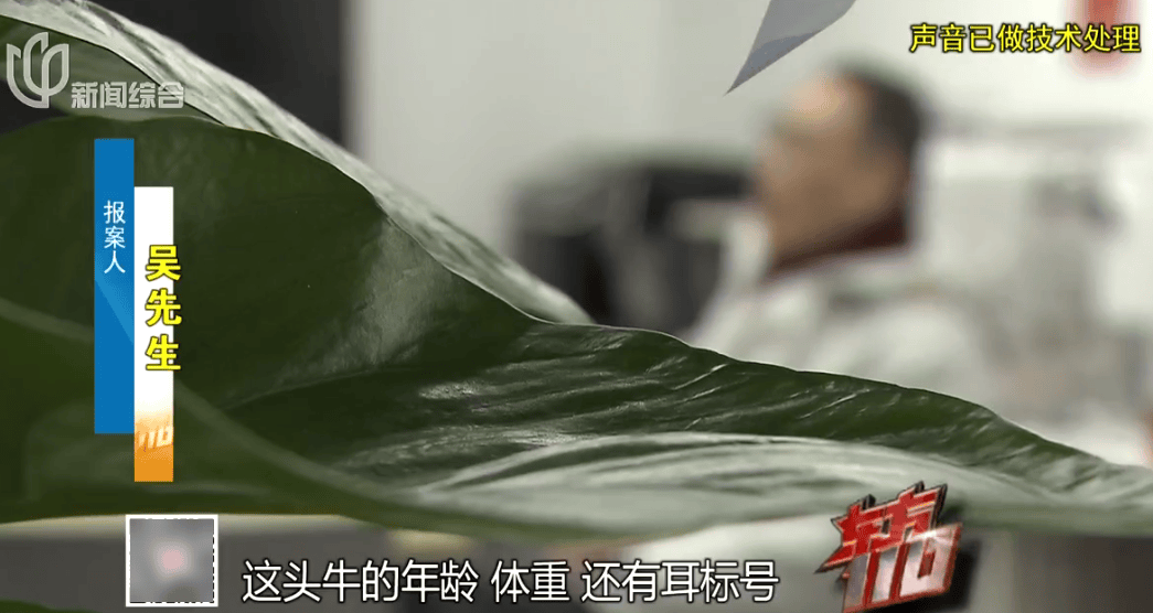 4個人騙了5個億！該平臺有120萬用戶！上海警方披露詳情