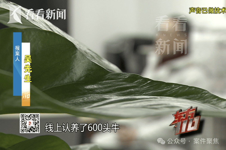 4個人騙了5個億！該平臺有120萬用戶！上海警方披露詳情