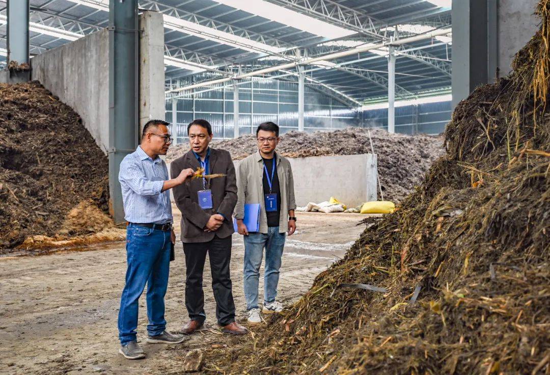 讓群眾有更多獲得感——金華扎實開展群眾身邊不正之風和腐敗問題集中整治