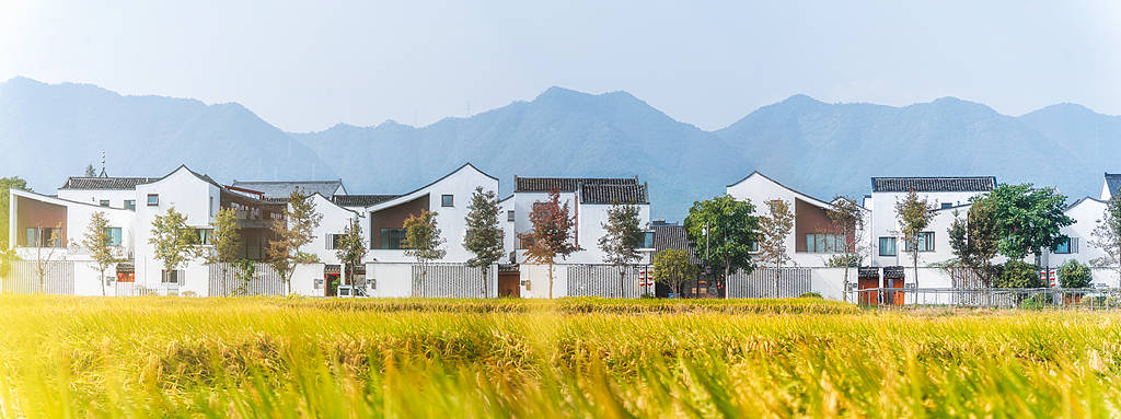 兩棟600平違建別墅找不到房主？真找不到還是不想找