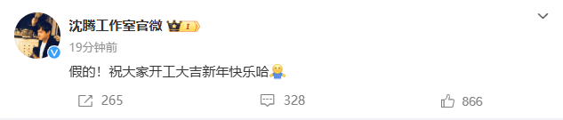沈騰、林允工作室雙雙發文：假！