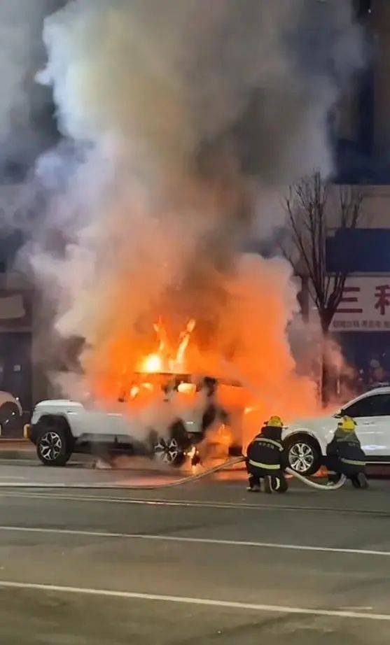 10歲娃點煙花燒毀40多萬新車，家長無力賠償，車主：又訂一輛新的