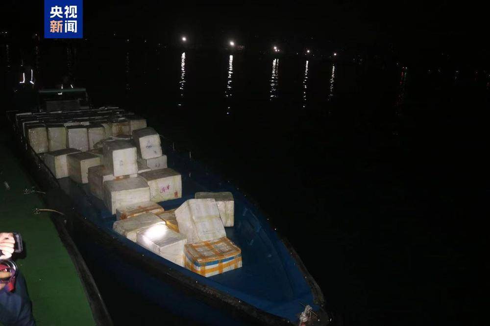 共計4.13噸！廣西北海海警查獲一起涉嫌走私水果案