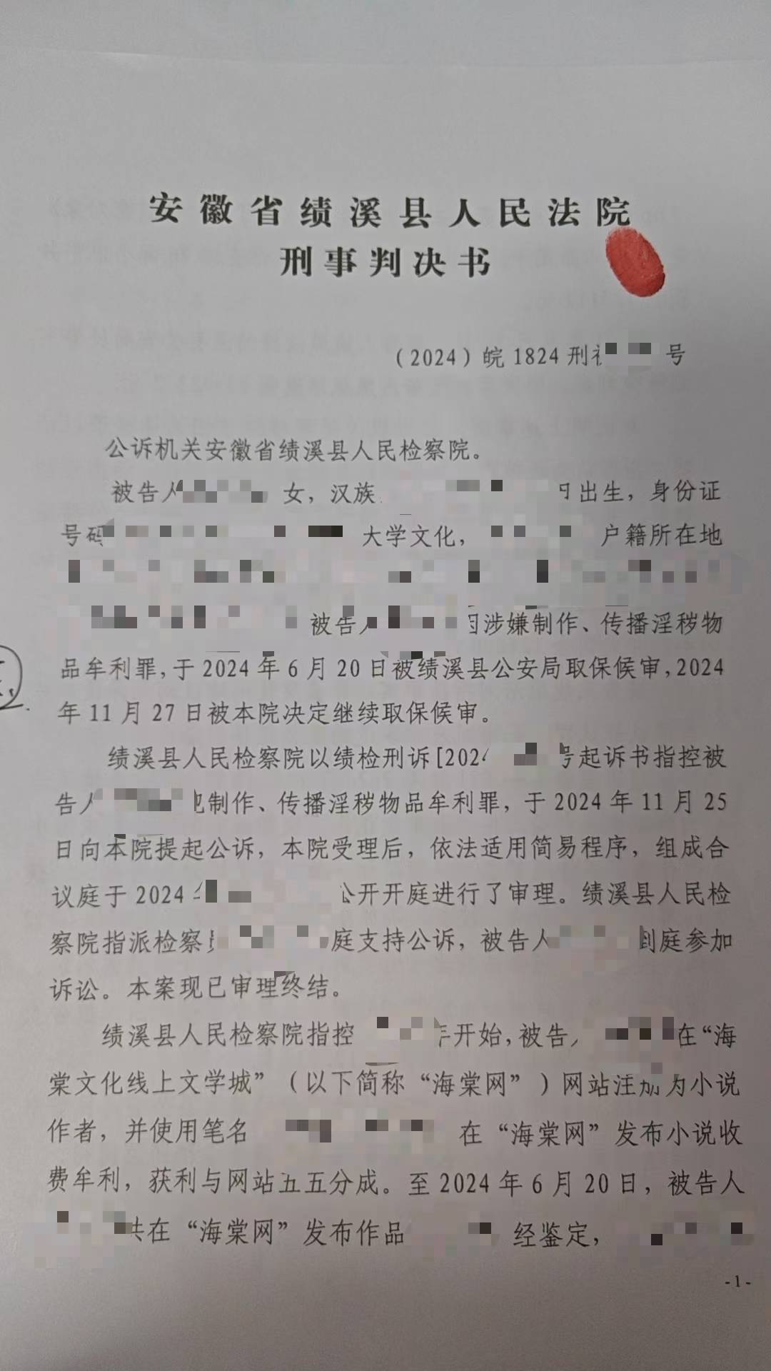 女孩因小說“涉黃”被捕，失業負債累累