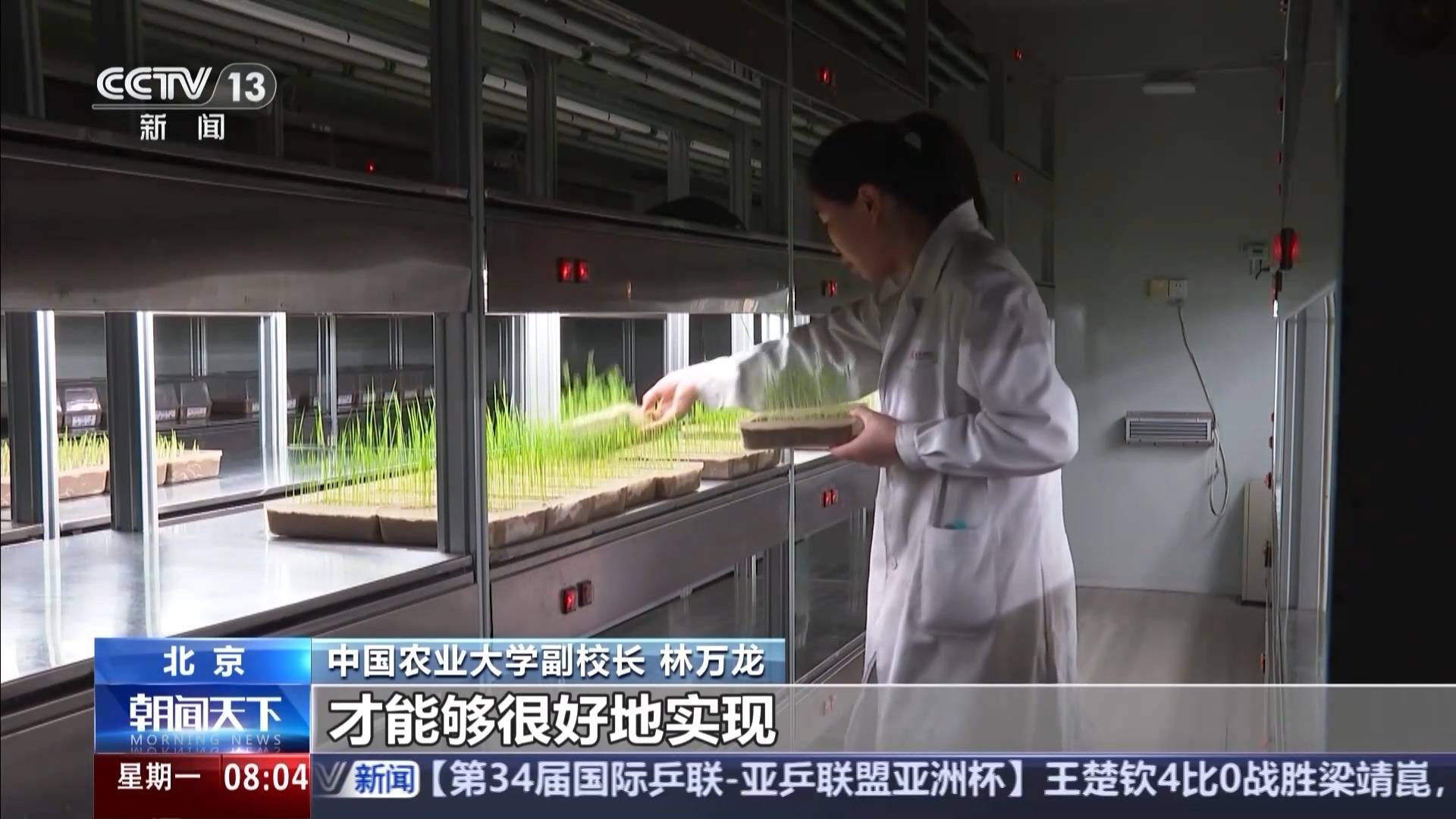 中央一號文件發布 有何新亮點？
