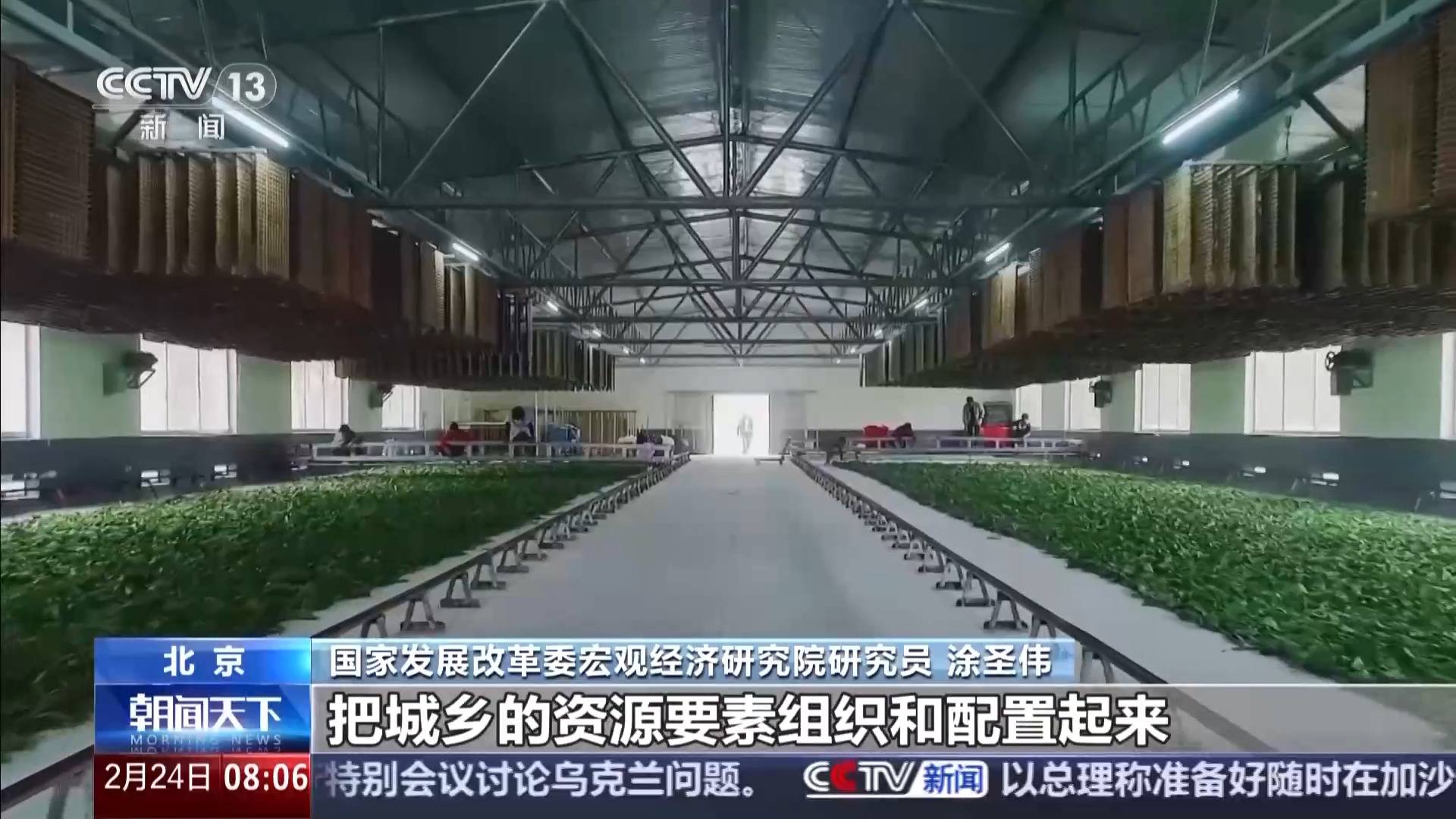 中央一號文件發布 有何新亮點？