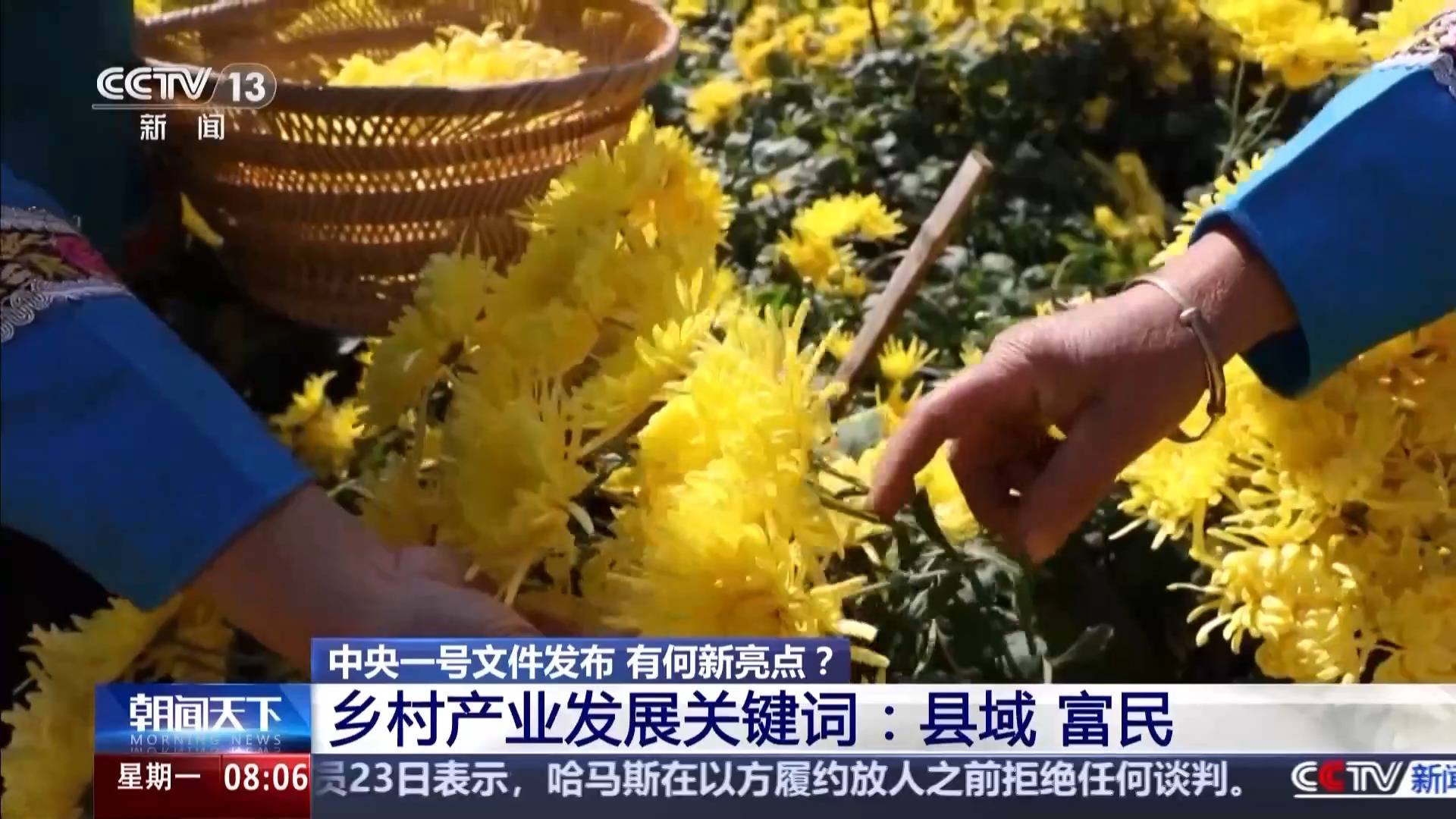 中央一號文件發布 有何新亮點？