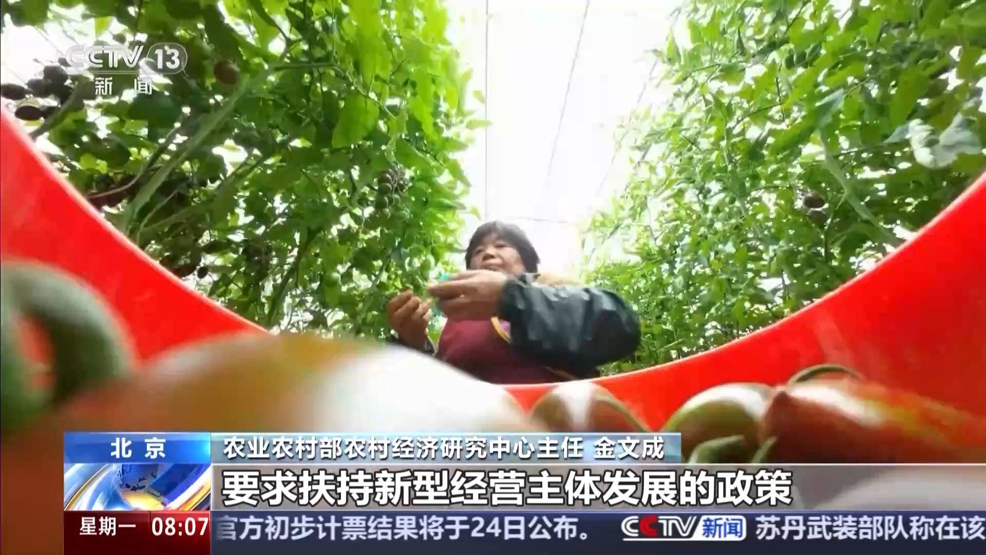 中央一號文件發布 有何新亮點？