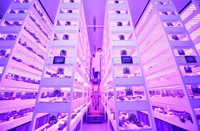 新華社記者帶你聽兩會｜聽，“新”的活力