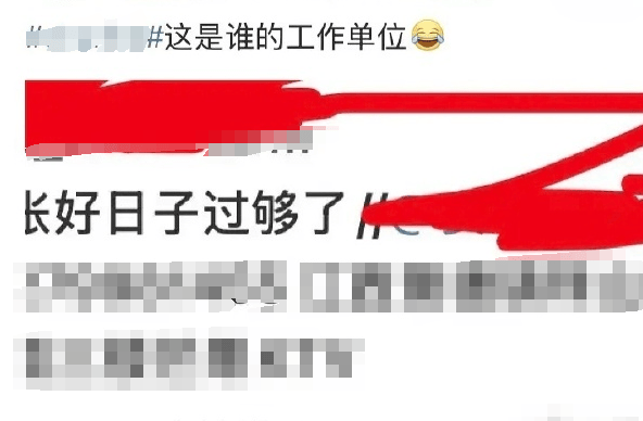 “讓她丈夫快家暴！”一孕婦因網絡發言被“開盒”，百度高管女兒參與網暴？多方回應