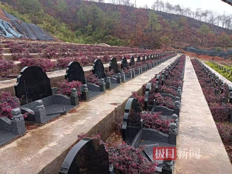 福建長汀縣半山腰上現數百個違規墓穴：違建不止一處，單個售價3萬多