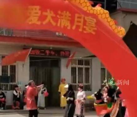 河北一店鋪給狗辦滿月宴引爭議，當事人：不是炒作，只是愛狗