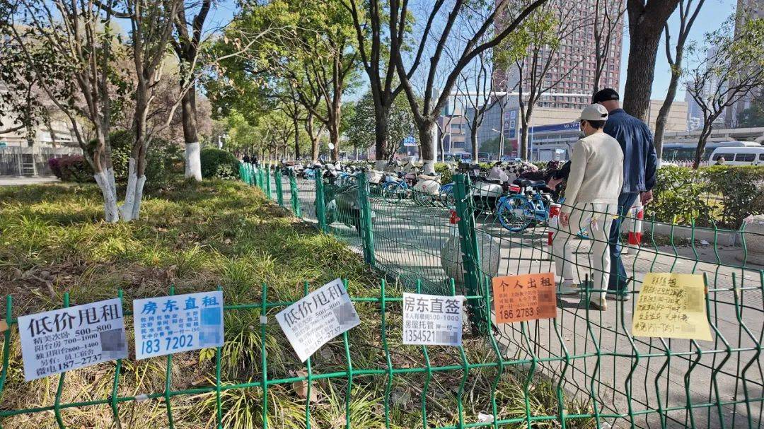 一二線城市房租普降，房東主動降200留我