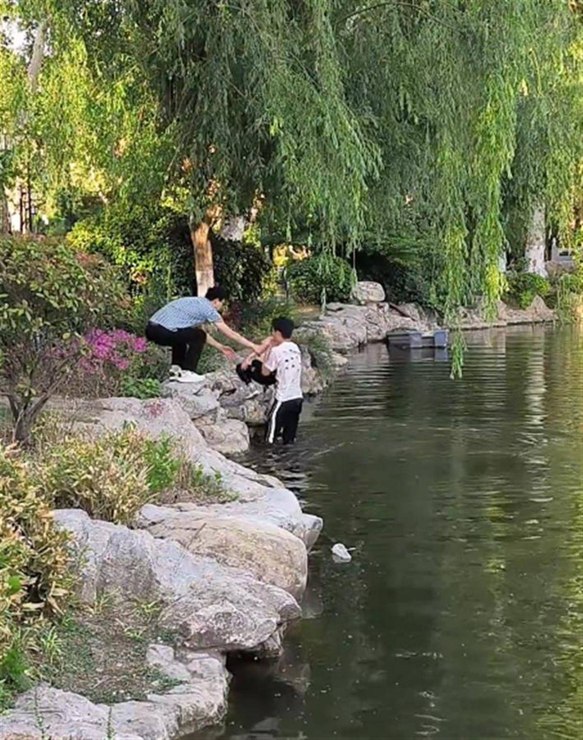 徐州一女童落水被救起，家長趕來先責怪孩子，救人者：家長當時嚇壞了，后來已道謝