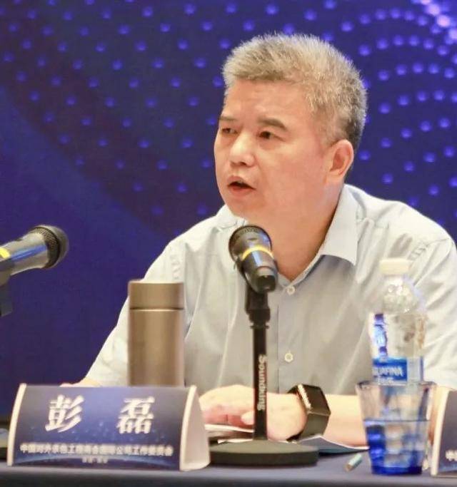 彭磊，已被撤職、降為正科級