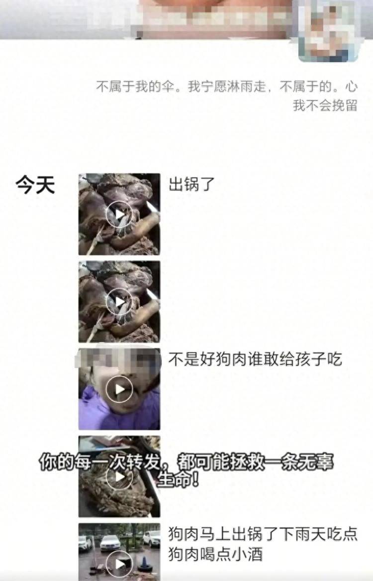 沈陽一店鋪老板假借領養名義烹食流浪狗，警方：正在研討處置