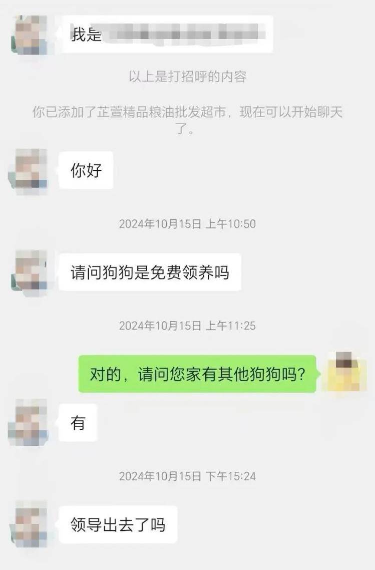 沈陽一店鋪老板假借領養名義烹食流浪狗，警方：正在研討處置