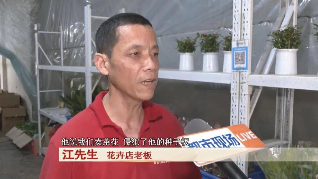 男子賣了三盆花，引來五萬索賠
