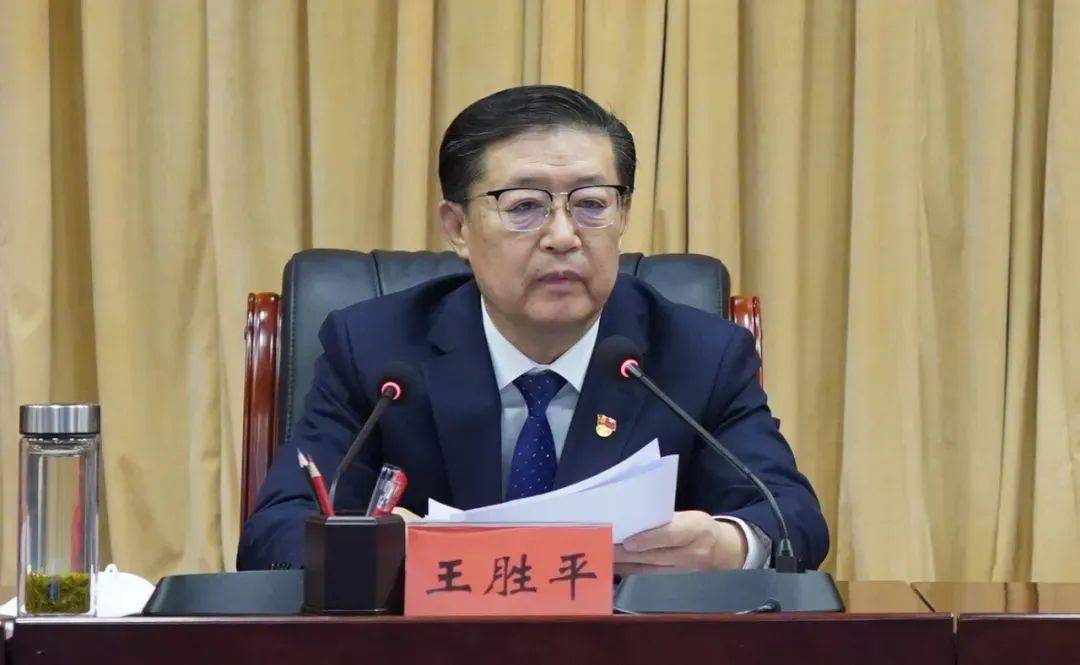 王勝平，被查