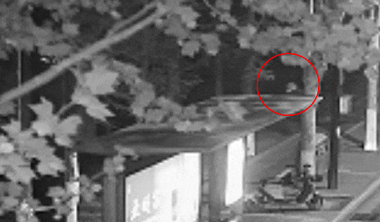 江蘇一男子戴仿真“人皮”面具入室盜竊，流竄多個小區作案，涉案金額達15萬余元