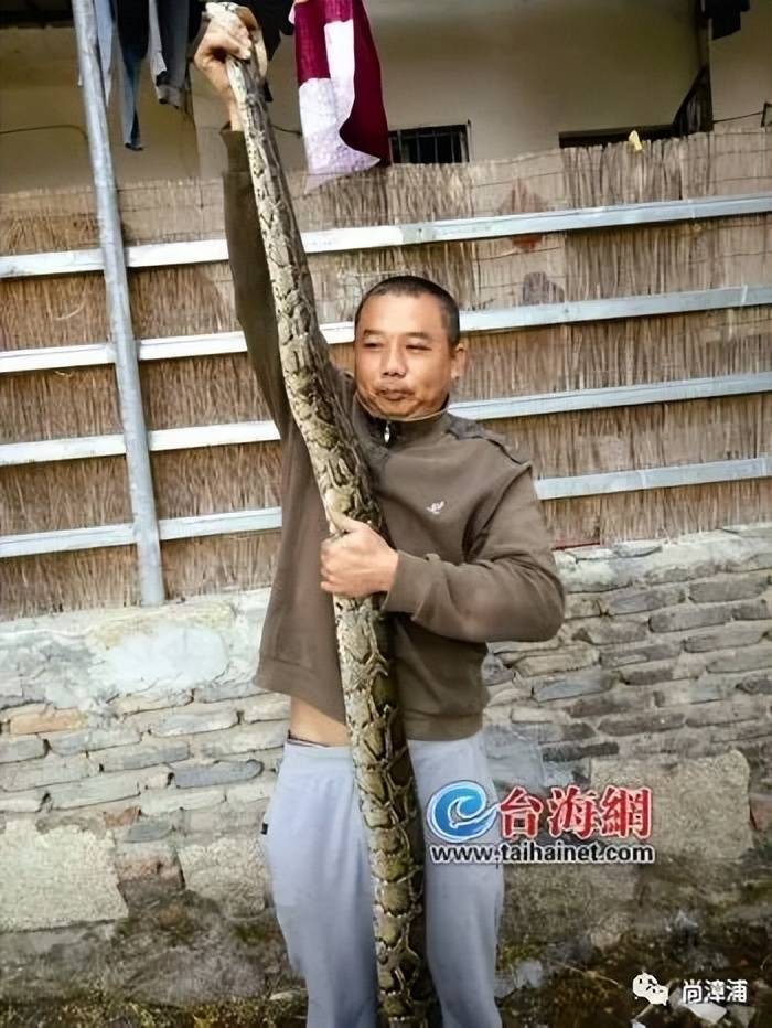女游客疑被蛇咬傷身亡后，博主“啊寶”講毒蛇1天漲粉190萬