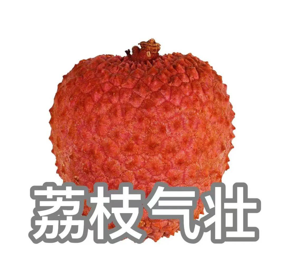 “qí”還是“jì”？“一騎紅塵”怎么讀？網友吵翻了......