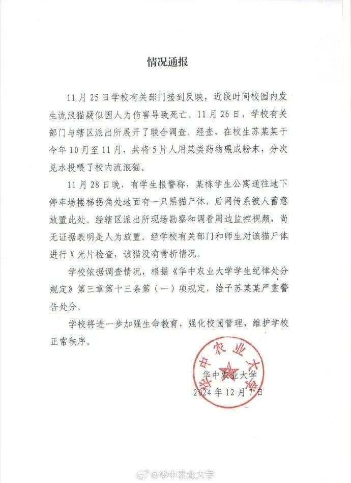 毒殺流浪貓的學生考上事業編？大批網友舉報！官方回應→