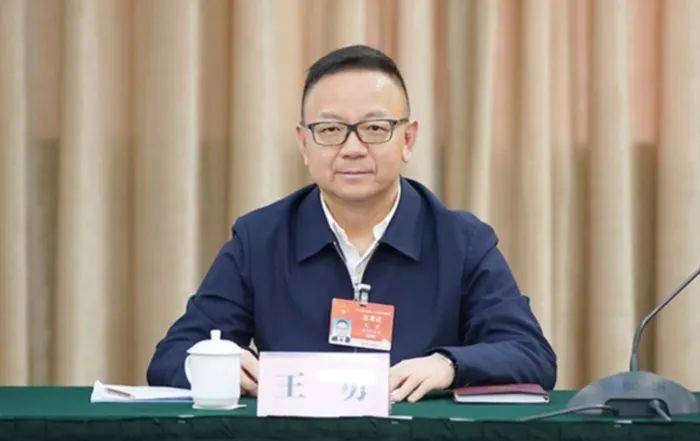 “背離黨中央對年輕干部的要求”，54歲“副部虎”王勇被判死緩，16年受賄2.71億余元